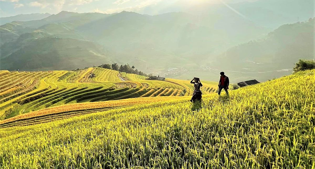 A Memorable Mother-Son Adventure: Exploring Vietnam, Laos, and Cambodia - 425188677