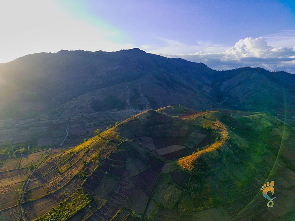 Admiring the Enchanting Beauty of Terraced Fields - 1773197414
