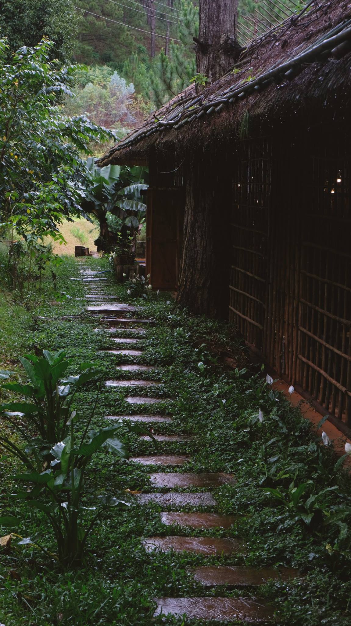 Lavenderdalat Coffee House - Coffee shop with a charming view of Tuyen Lam Lake that makes everyone fall in love in Da Lat 3