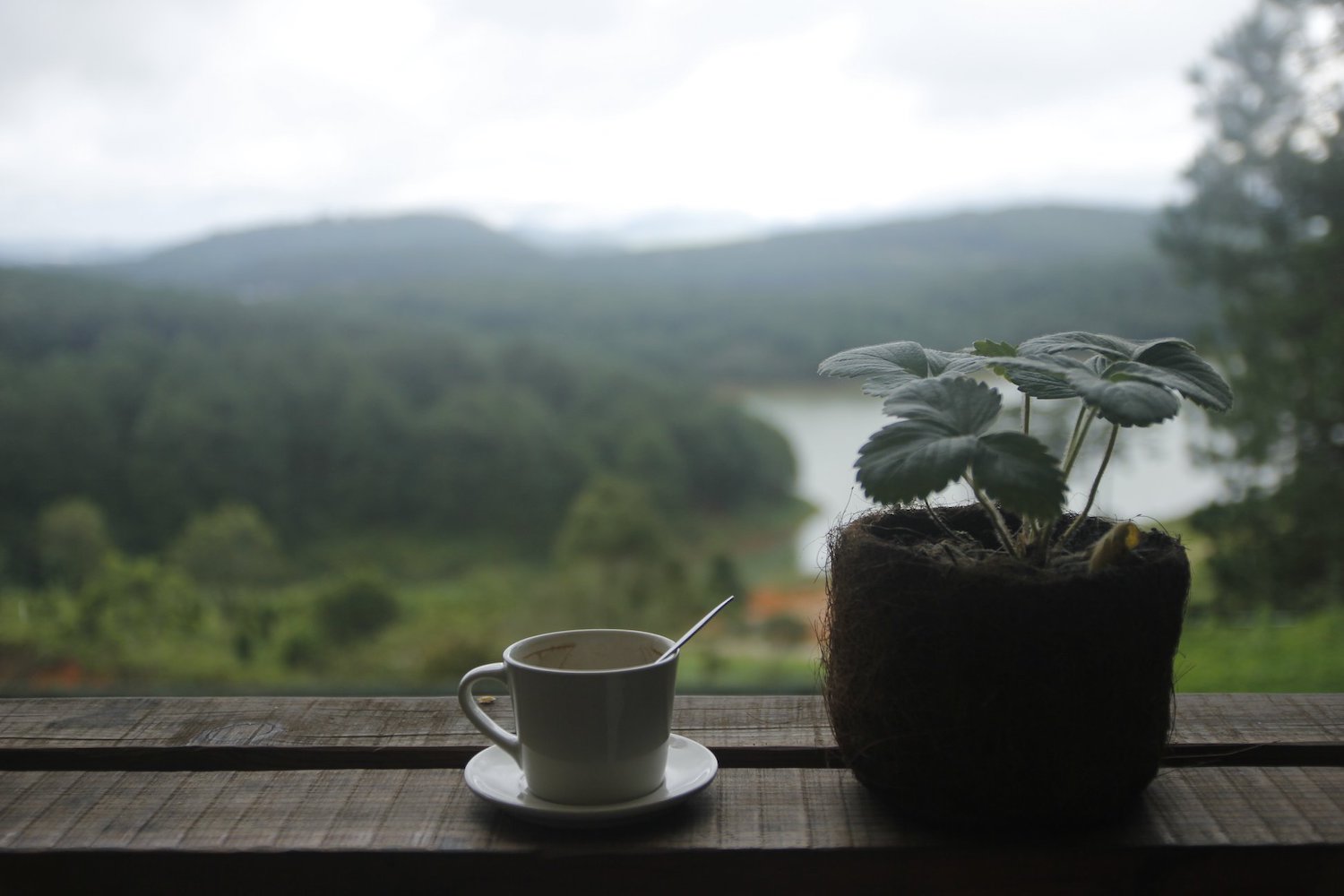 Lavenderdalat Coffee House - Coffee shop with a charming view of Tuyen Lam Lake that makes everyone fall in love in Da Lat 4
