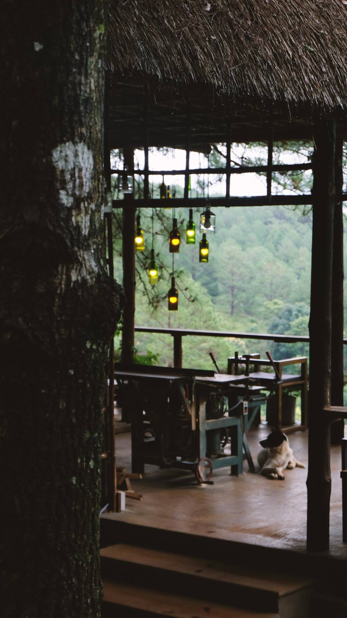 Lavenderdalat Coffee House - Coffee shop with a charming view of Tuyen Lam Lake that makes everyone fall in love in Da Lat 10