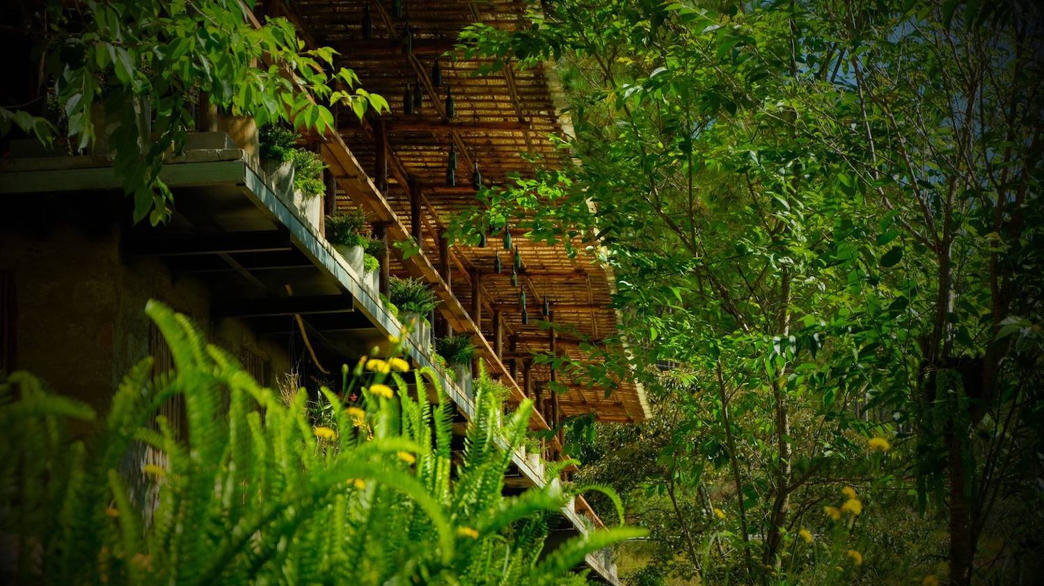 Lavenderdalat Coffee House - Coffee shop with a charming view of Tuyen Lam Lake that makes everyone fall in love in Da Lat 9