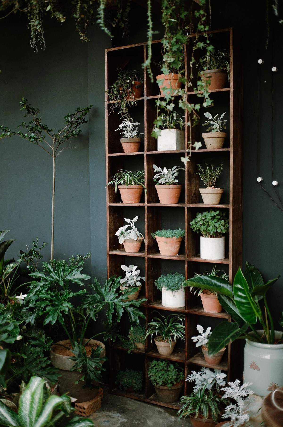 Summer Garden Coffee Shop - Let's go to the dreamy coffee shop once and post photos a week in Da Lat 7