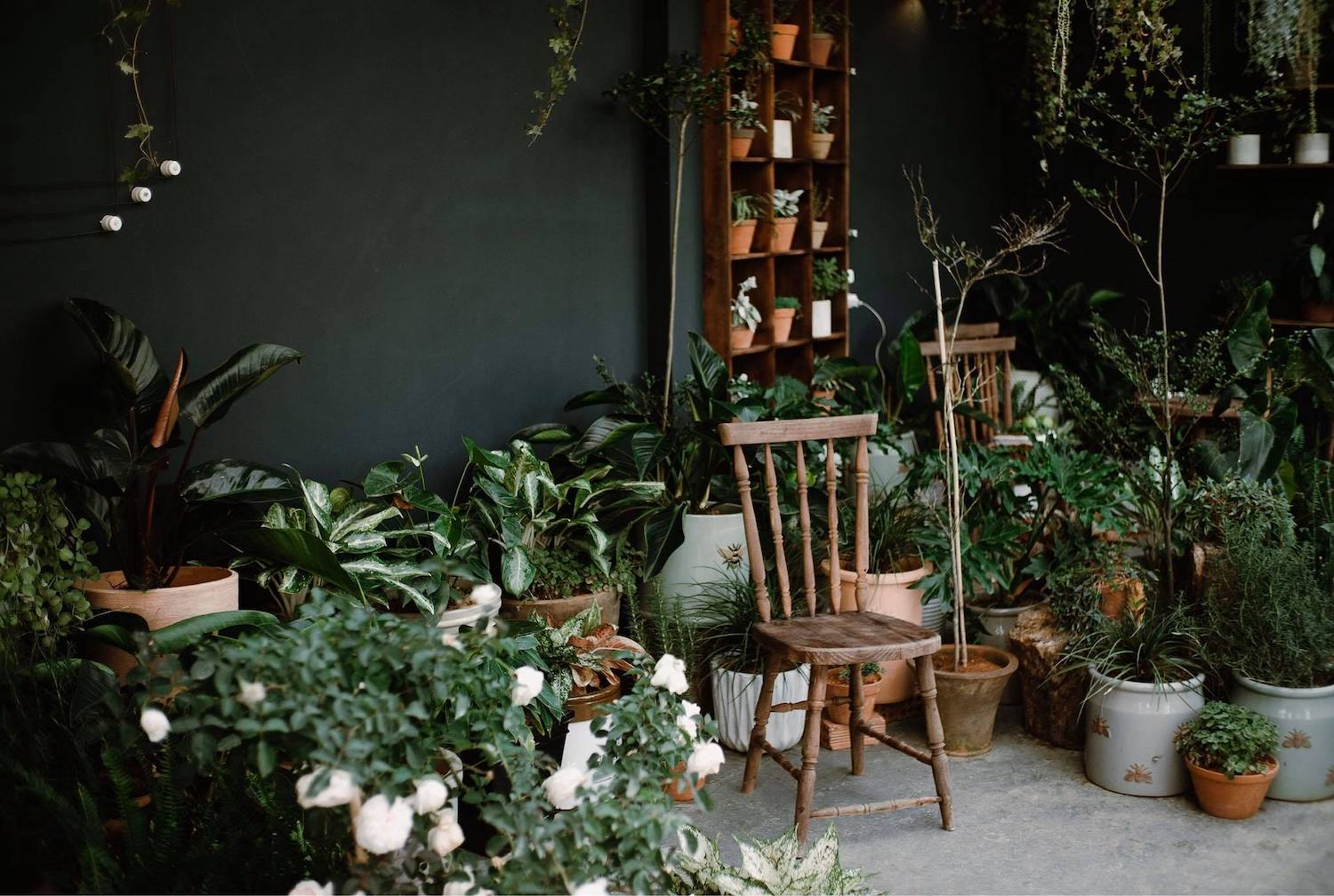 Summer Garden Coffee Shop - Let's go to the dreamy coffee shop once and post photos a week in Da Lat 16