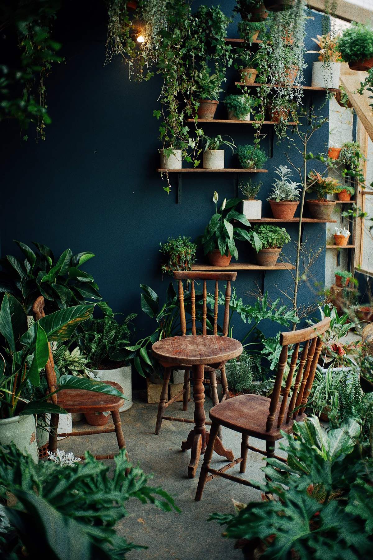 Summer Garden Coffee Shop - Let's go to the dreamy coffee shop once and post photos a week in Da Lat 15