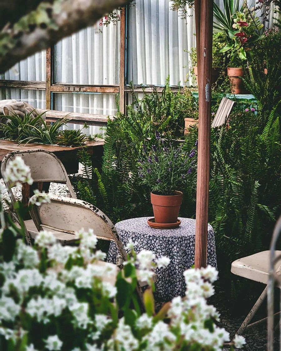 5 coffee shops in Da Lat capture the brilliant sunset scene 6