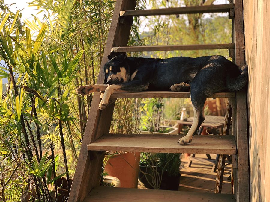 5 coffee shops in Da Lat capture the brilliant sunset scene 3