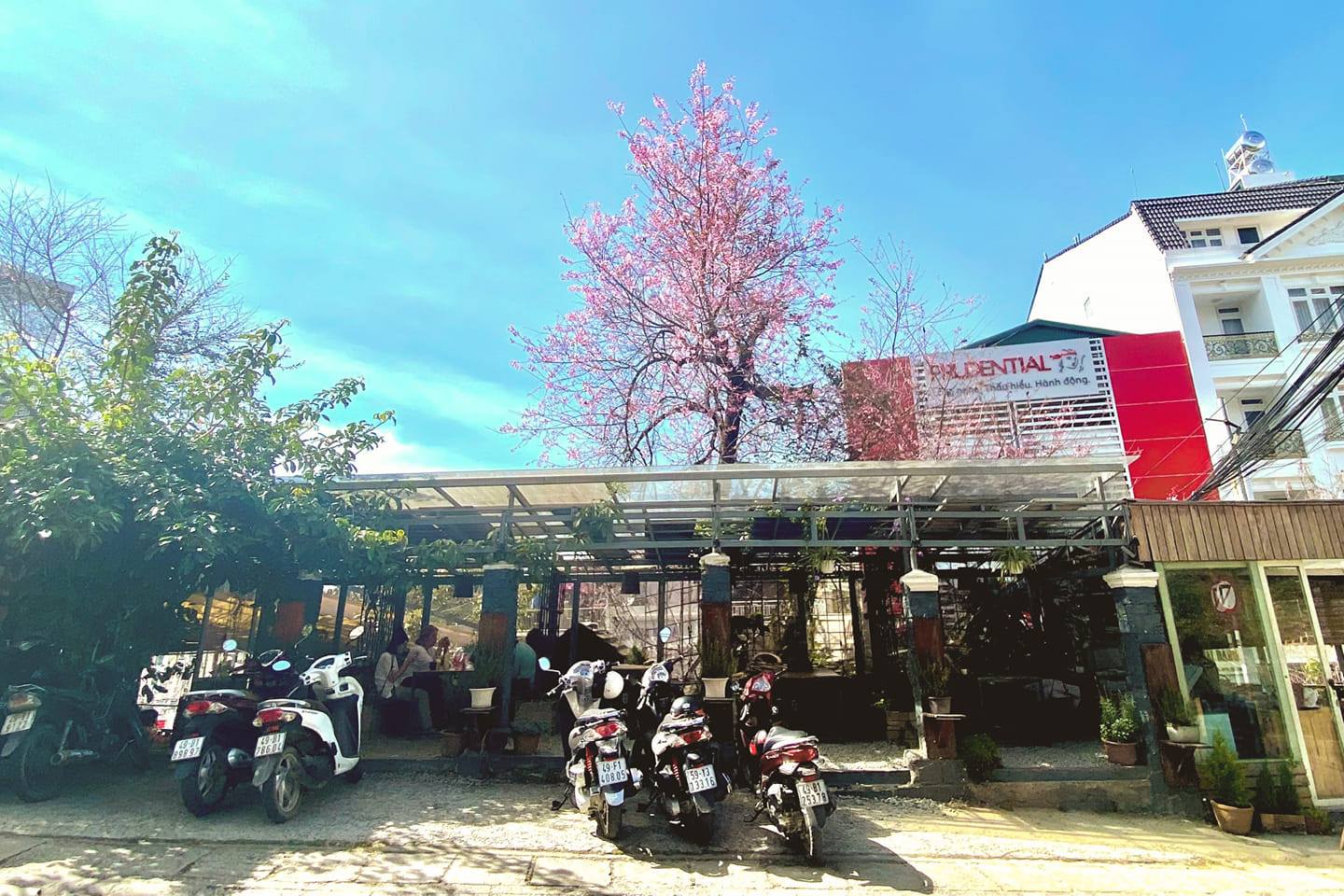 An Coffee – A place of deep green peace for fragile souls 3