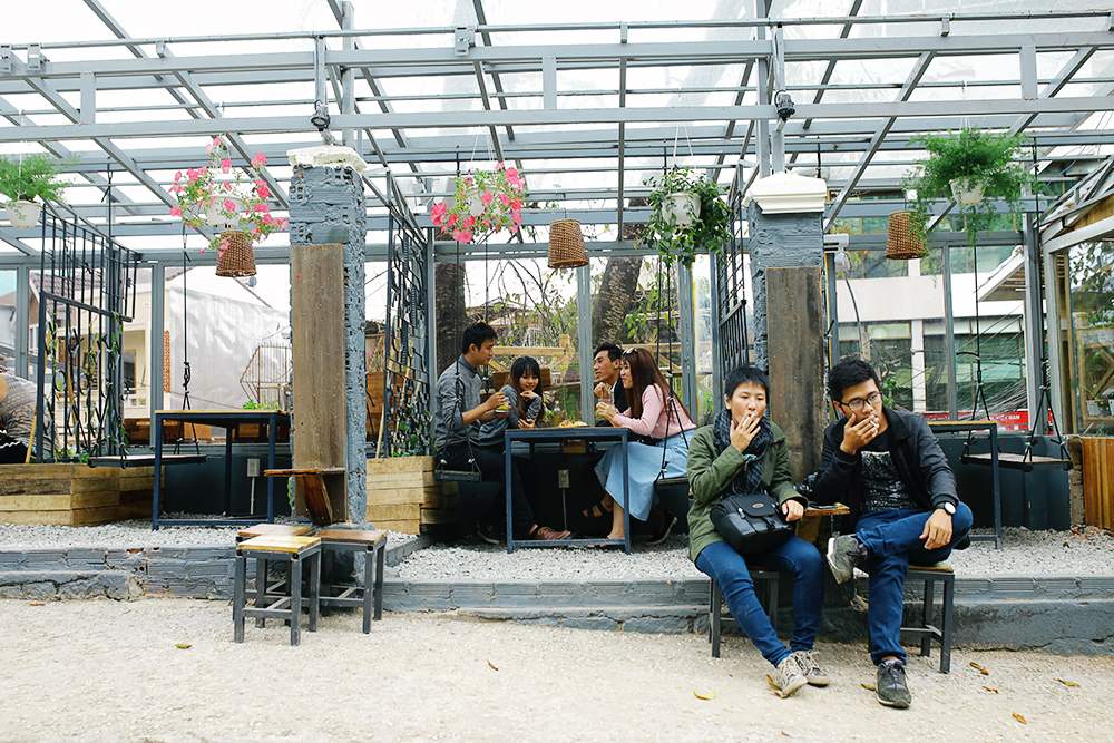 An Coffee – A place of deep green peace for fragile souls 21