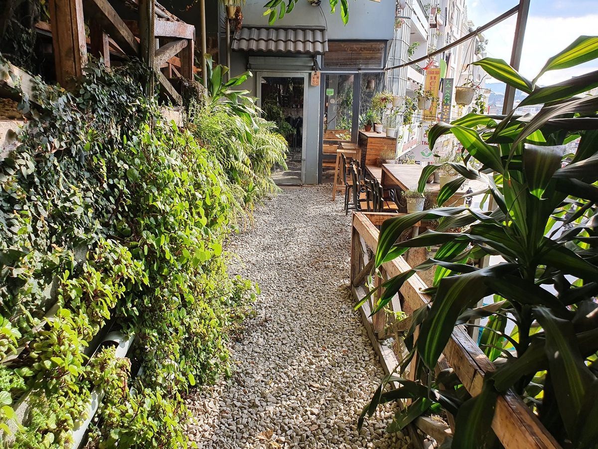 An Coffee – A place of deep green peace for fragile souls 22