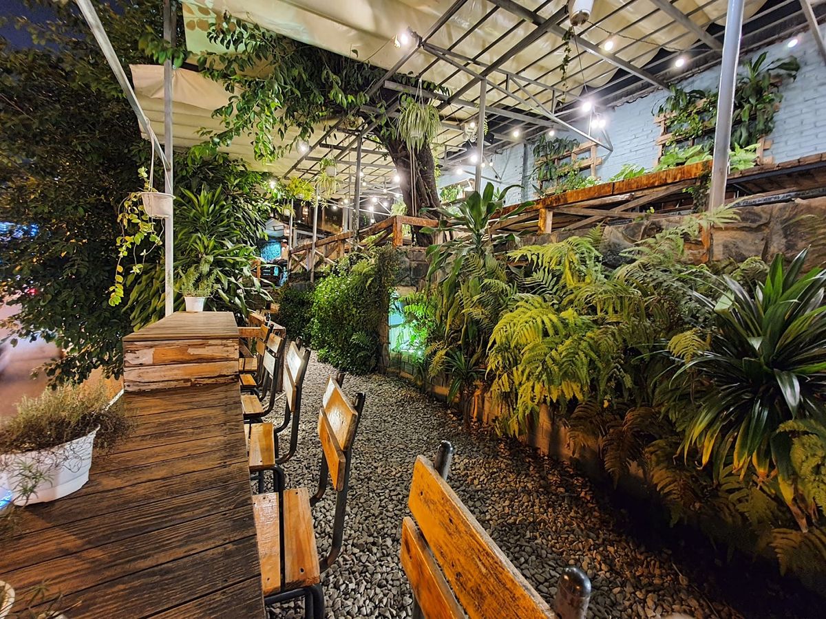 An Coffee – A place of deep green peace for fragile souls 23