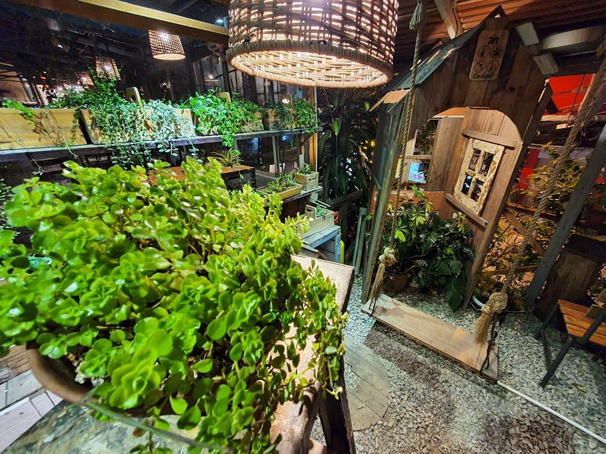 An Coffee – A place of deep green peace for fragile souls 24