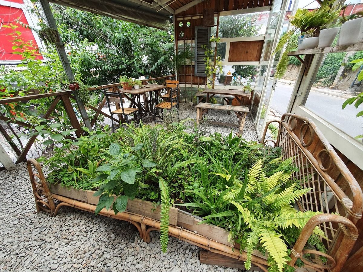 An Coffee – A place of deep green peace for fragile souls 25