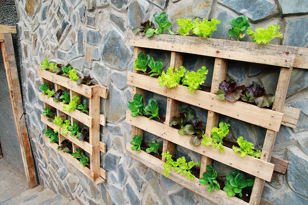 An Coffee – A place of deep green peace for fragile souls 28