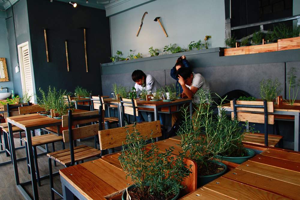 An Coffee – A place of deep green peace for fragile souls 29