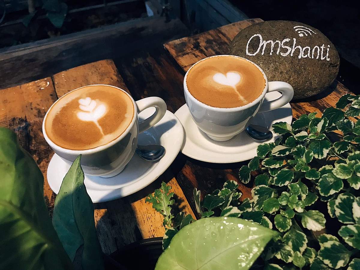 An Coffee – A place of deep green peace for fragile souls 31