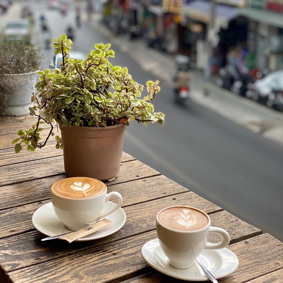 An Coffee – A place of deep green peace for fragile souls 40