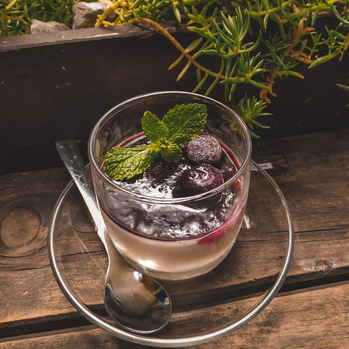 An Coffee – A place of deep green peace for fragile souls 46