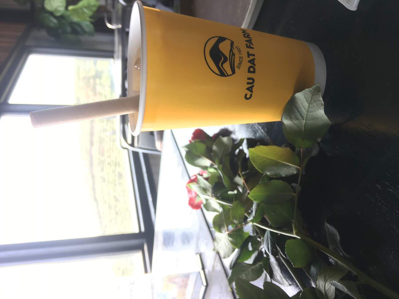 Cau Dat Coffee tea hill - Farm since 1927 5