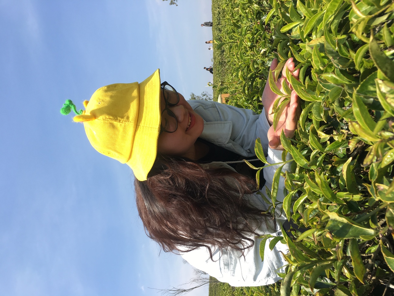 Cau Dat Coffee tea hill - Farm since 1927 8