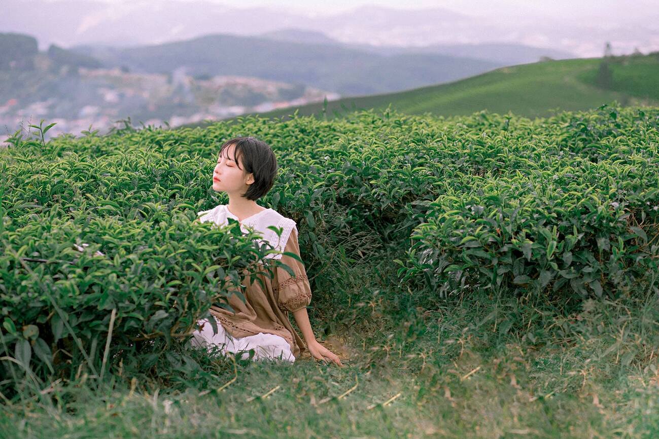 Cau Dat Coffee tea hill - Farm since 1927 9