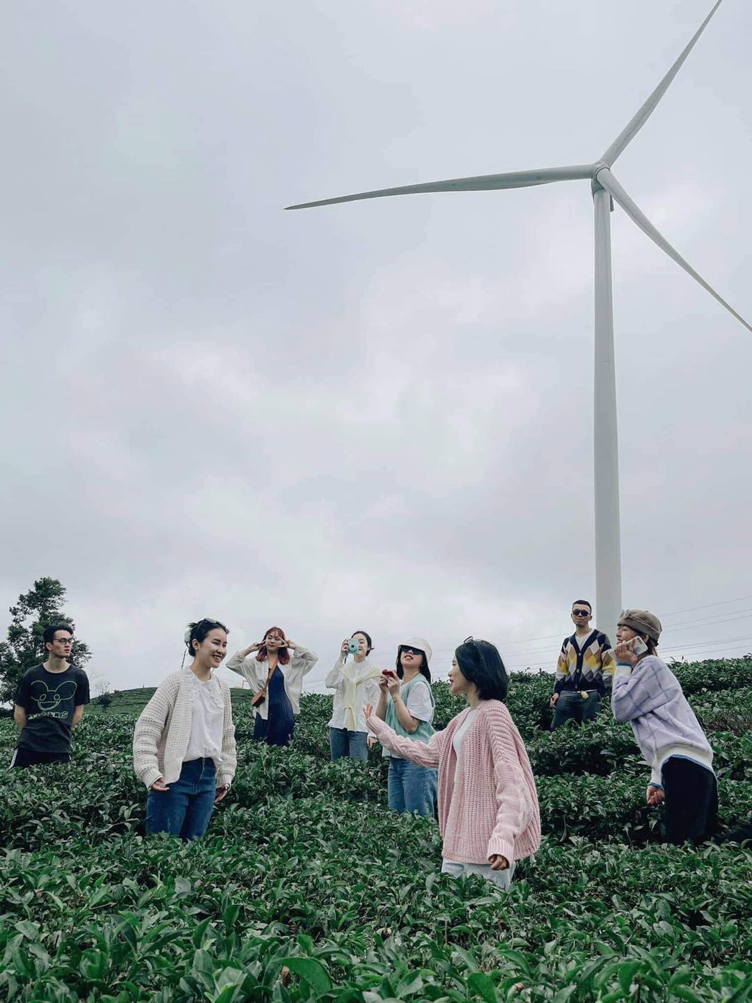 Cau Dat Coffee Tea Hill - Farm since 1927 10