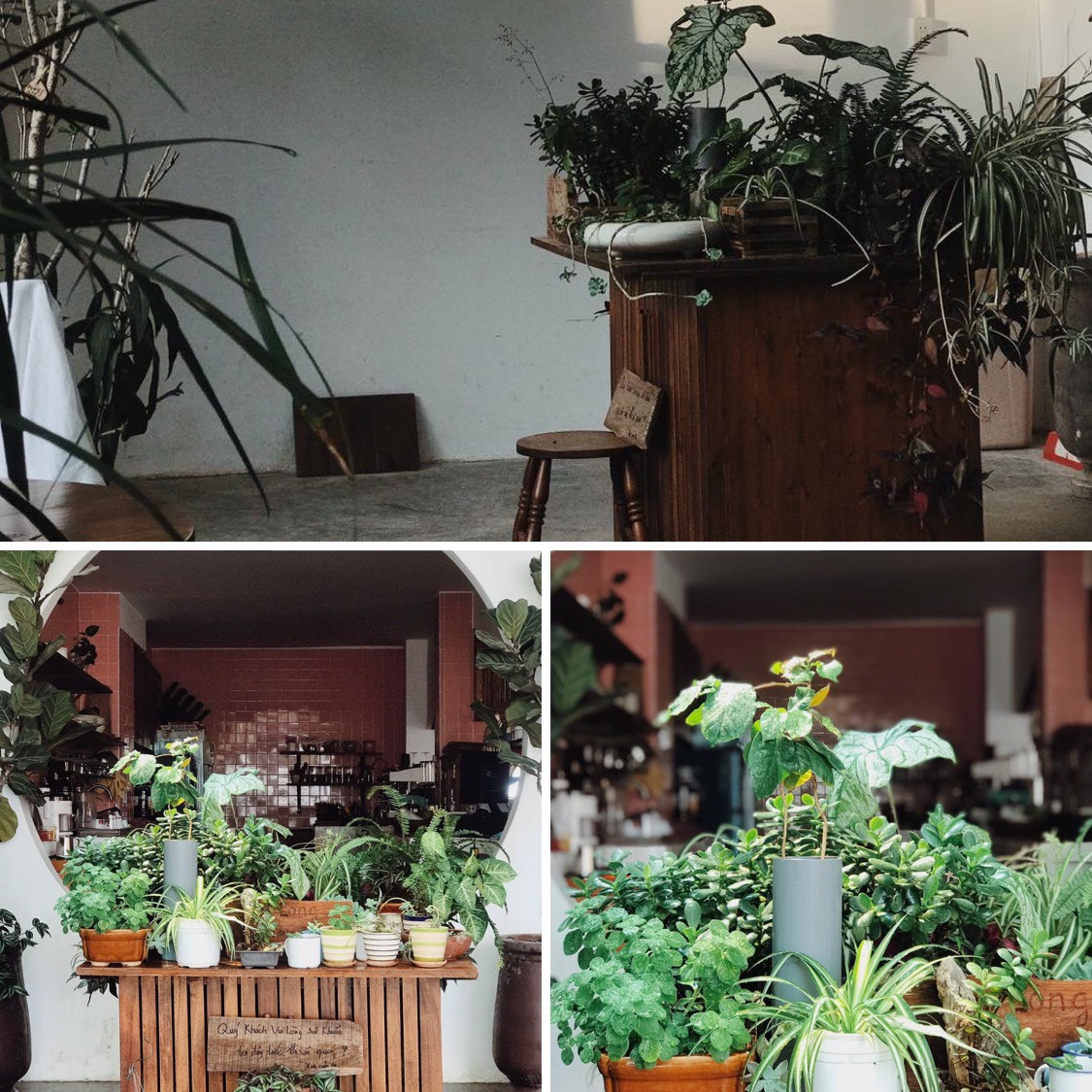 Dreamers home & Coffee - A stopping place for dreamy travelers 4