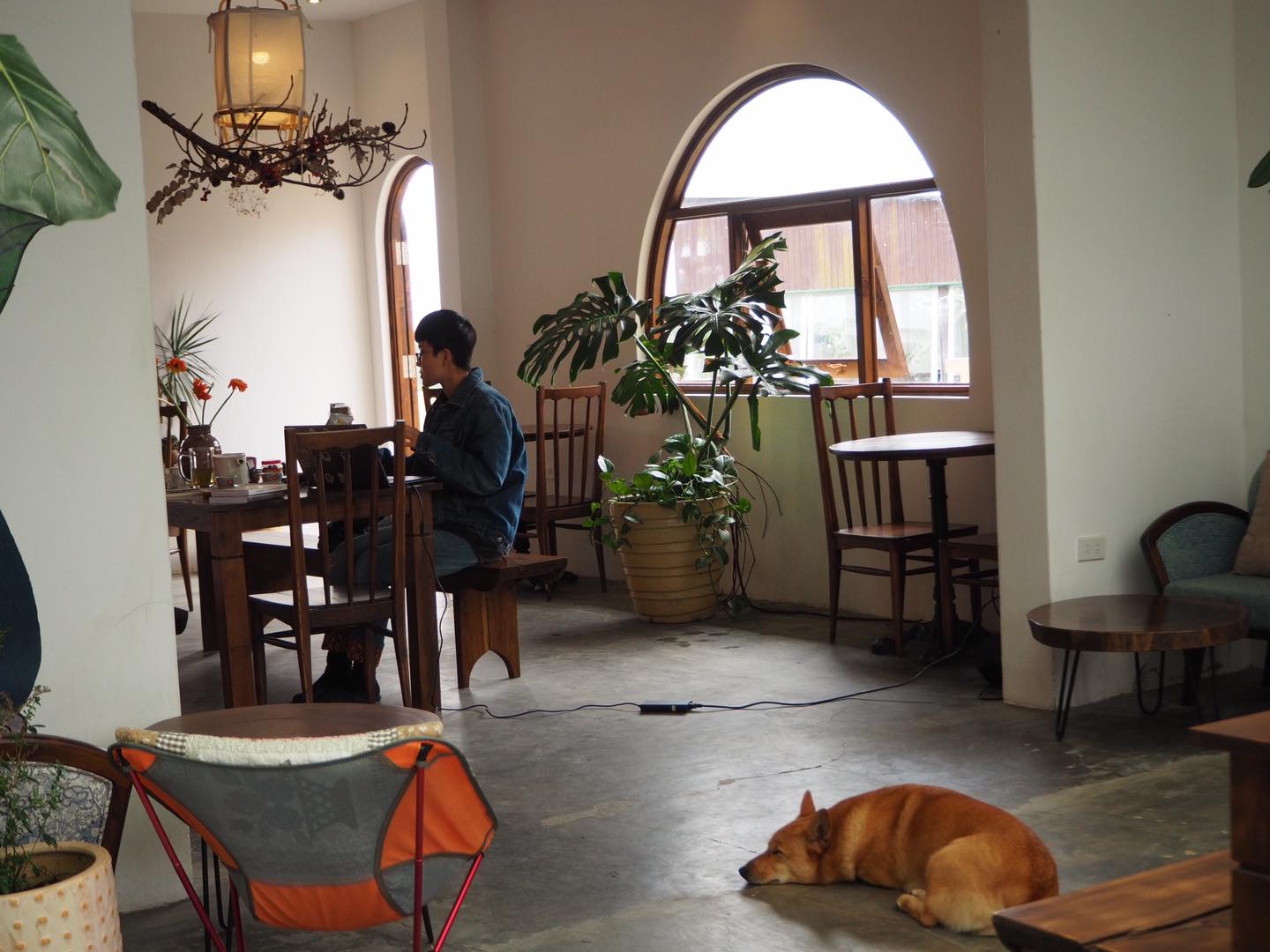 Dreamers home & Coffee - A stopping place for dreamy travelers 16