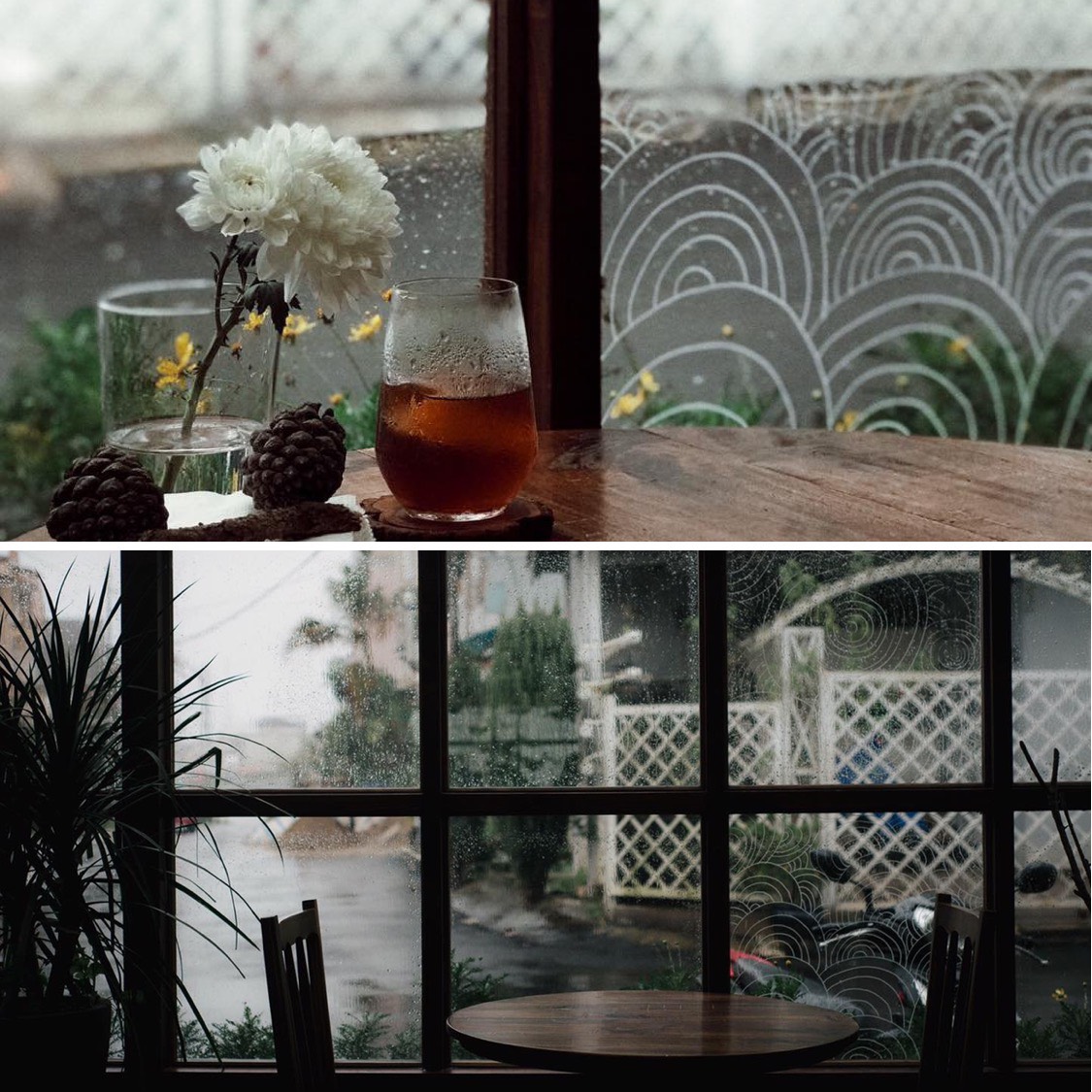 Dreamers home & Coffee - A stopping place for dreamy travelers 5