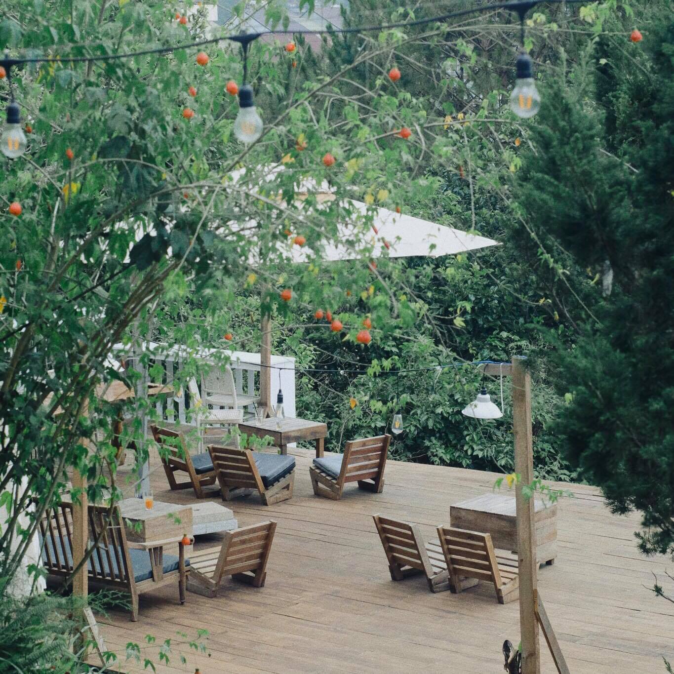 Gau Garden Coffee - A stop for young people who love puppies 5