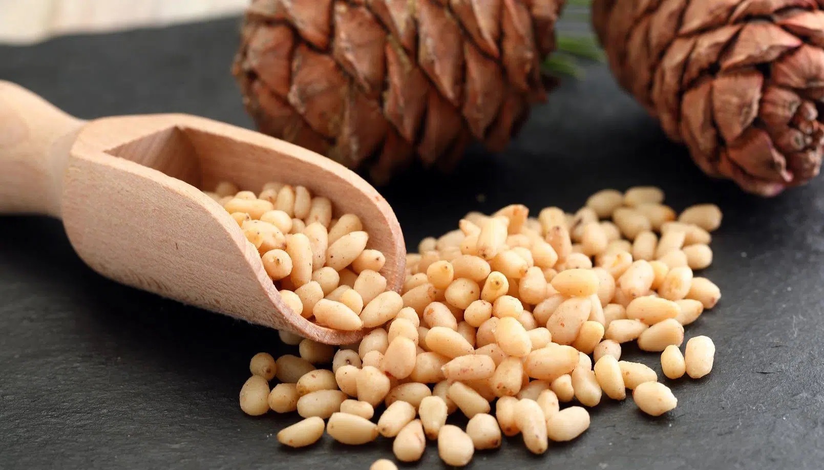 Sapa pine nuts - A meaningful Northwest gift for health and beauty 3