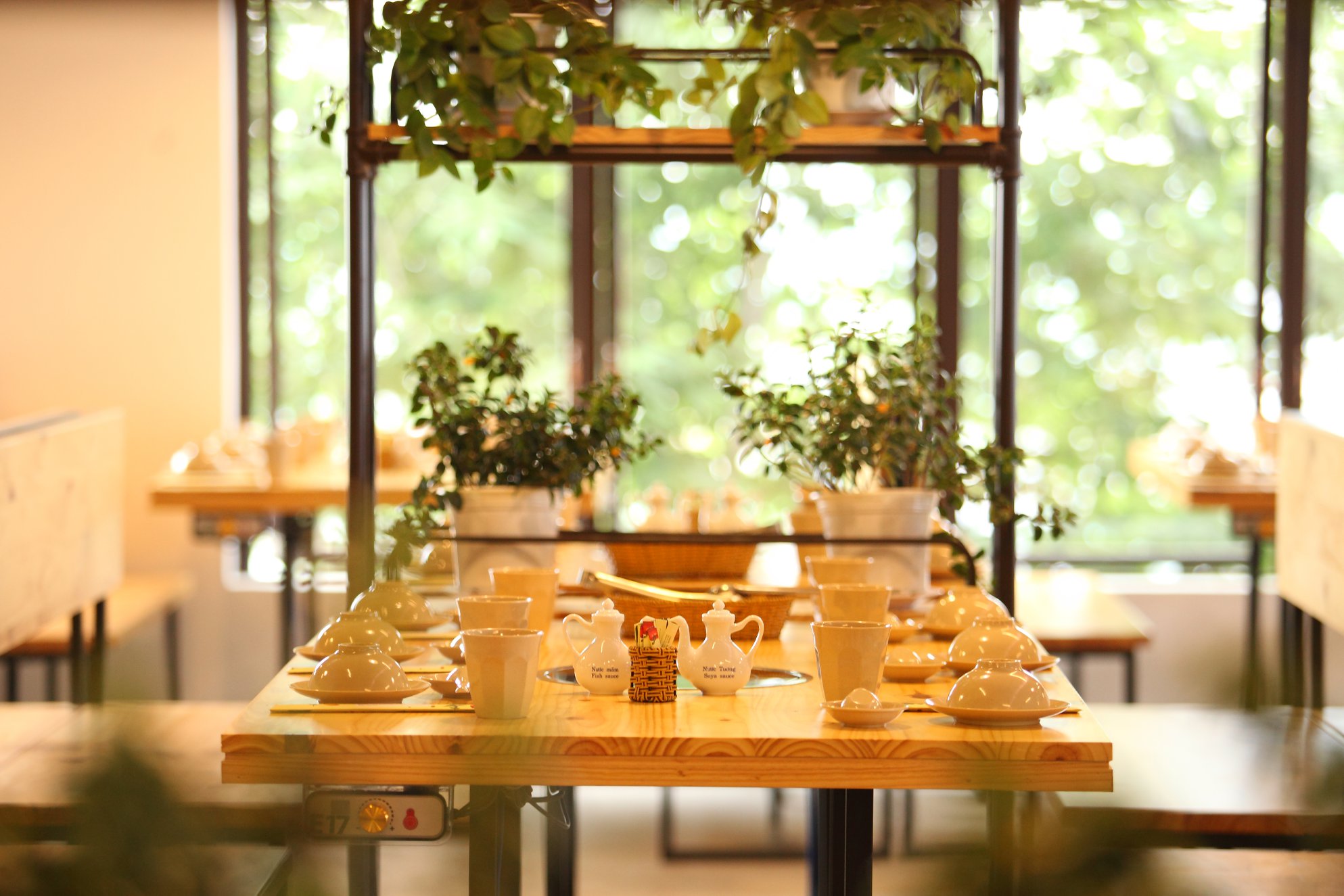 Discover fresh vegetable paradise at LEGUDA Dalat 5 vegetable buffet restaurant