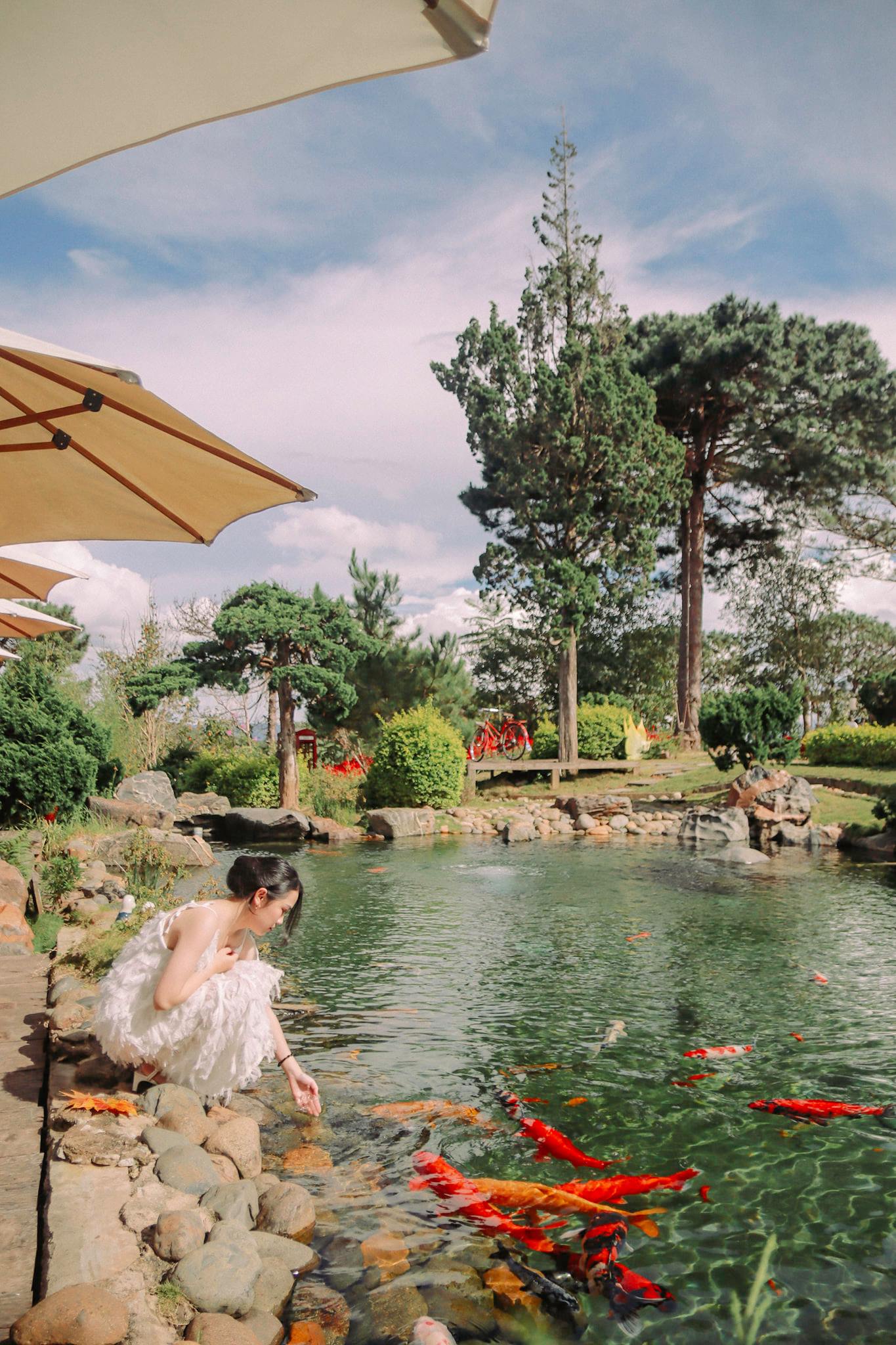 Kokoro Cafe Da Lat - Explore the land of the rising sun inside the city of flowers 4