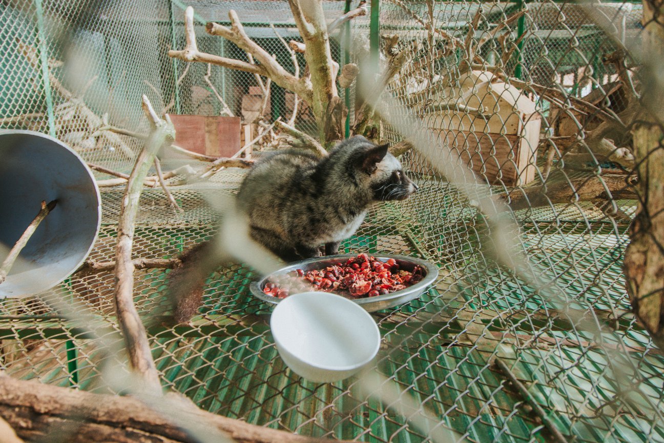 Me Linh Coffee Garden - Super hot virtual living paradise in Da Lat 12