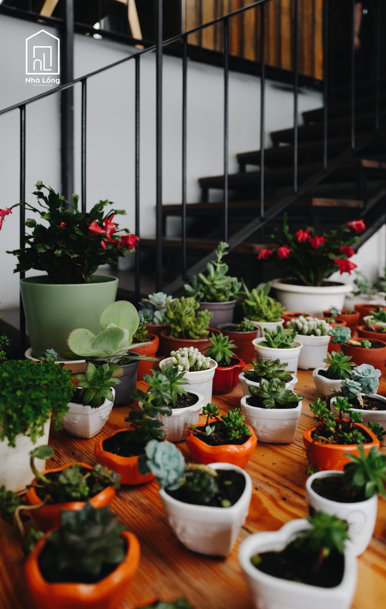 Nha Long Coffee - Sparkling cafe with beautiful valley view 34