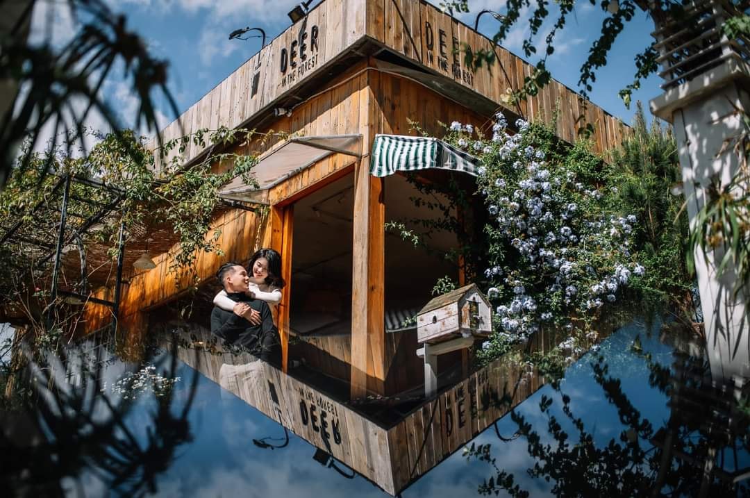 Heart-stopping with the top 6 amazing Da Lat flower cafes 7