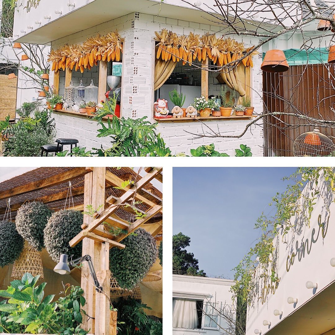 Heart-stopping with the top 6 amazing Da Lat flower cafes 2