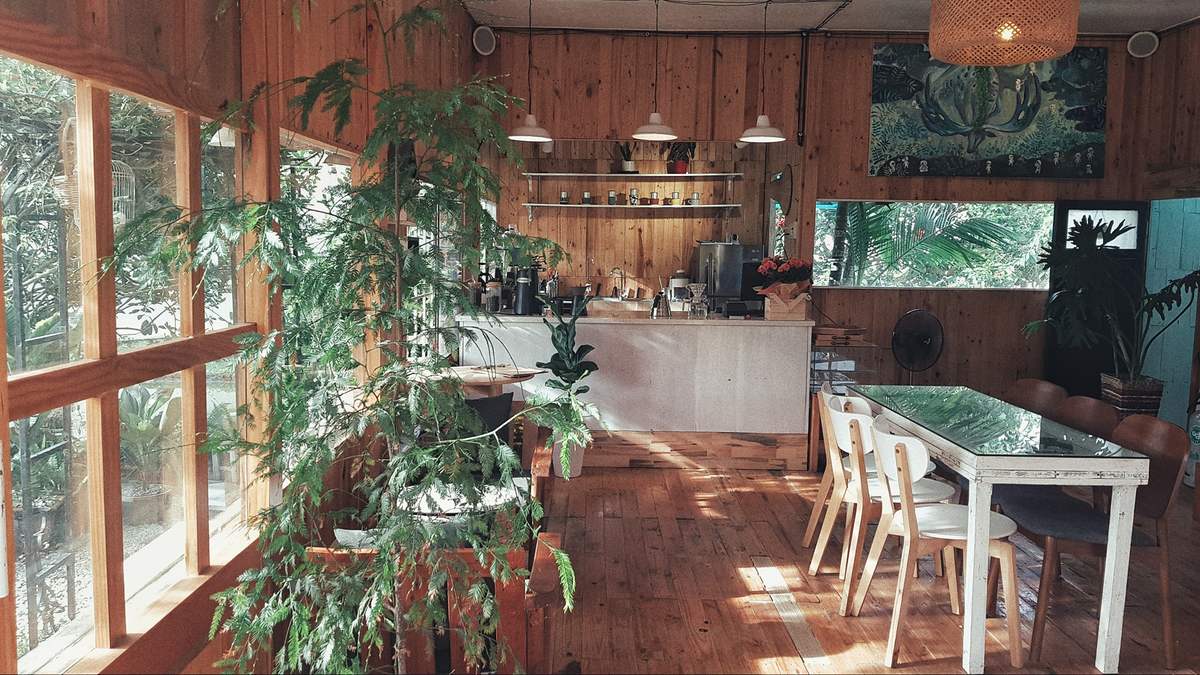 Heart-stopping with the top 6 amazing Da Lat flower cafes 4