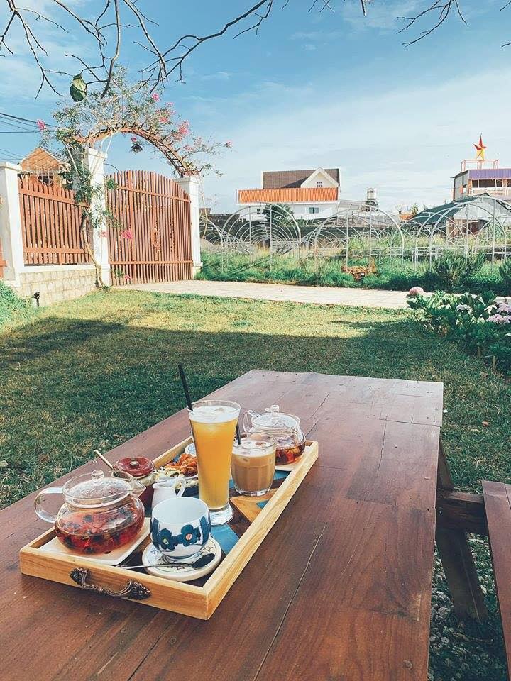 Heart-stopping with the top 6 amazing Da Lat flower cafes 5