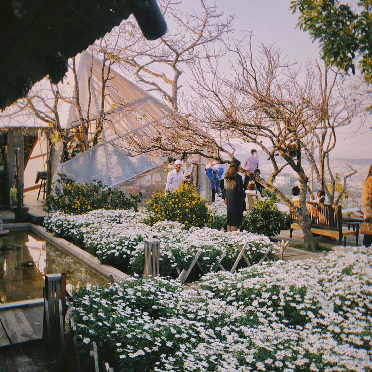 Heart-stopping with top 6 amazing Da Lat flower cafes 9