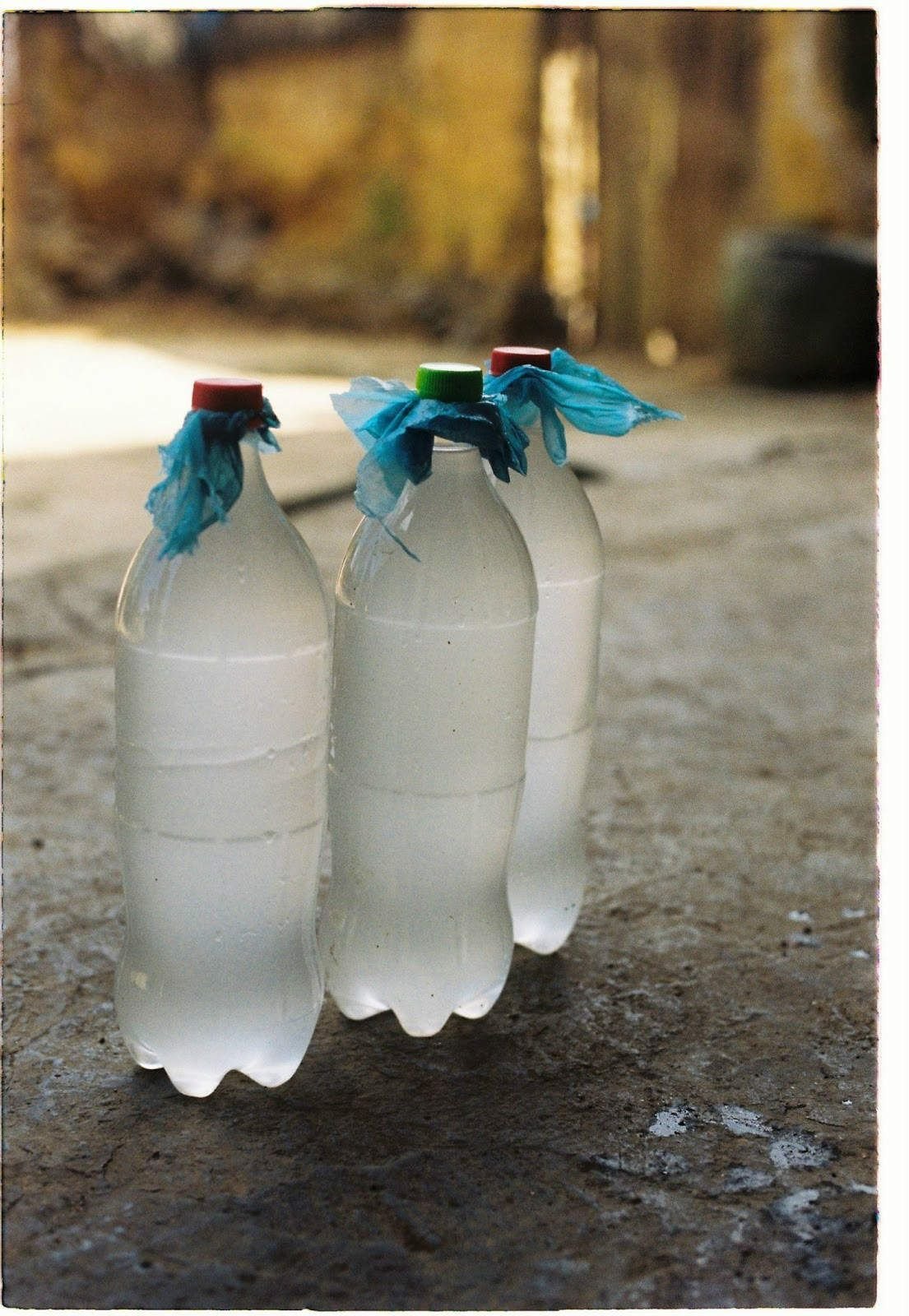 Bac Ha corn wine - Culinary quintessence in Lao Cai white plateau 11