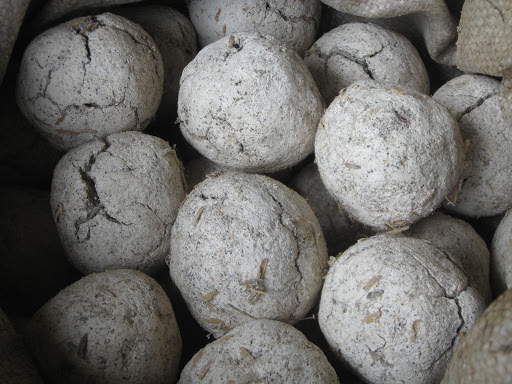 Bac Ha corn wine - Culinary quintessence in Lao Cai white plateau 7