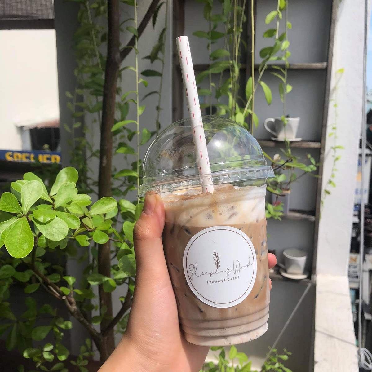 Sleeping Wood Café - A simple, sincere, lovely café in Da Nang 13