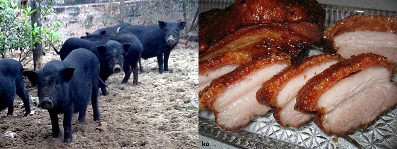Armpit pork - Artificial wild meat sought after by food lovers 3
