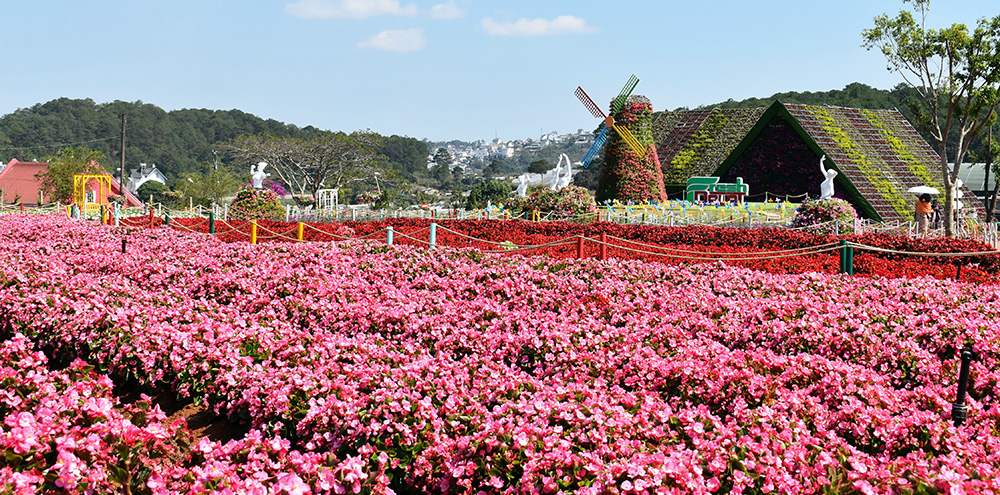 Top specialties in Da Lat you should buy as gifts 10