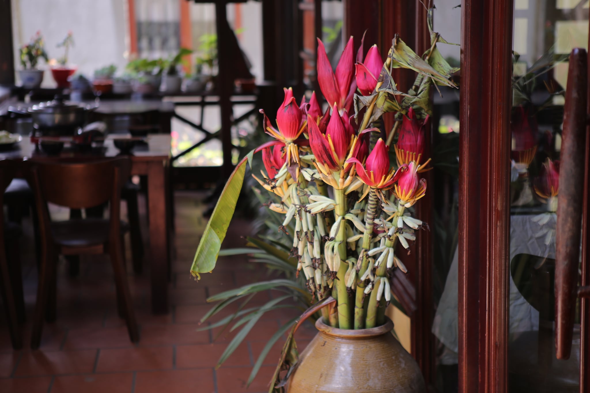 Anise Sapa Restaurant - A romantic, European-style restaurant right in the heart of Sapa 13