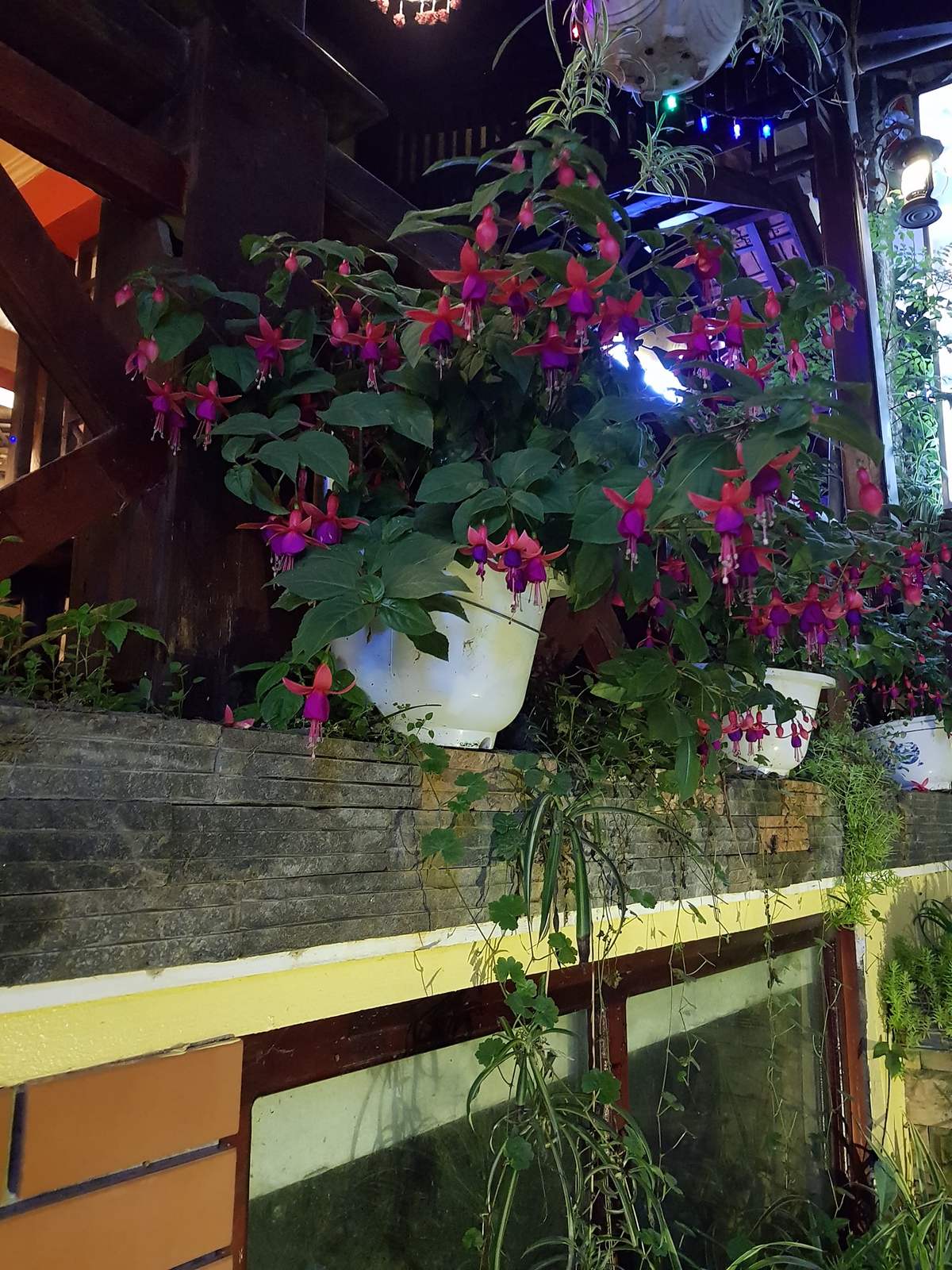 Anise Sapa Restaurant - A romantic, European-style restaurant right in the heart of Sapa 14