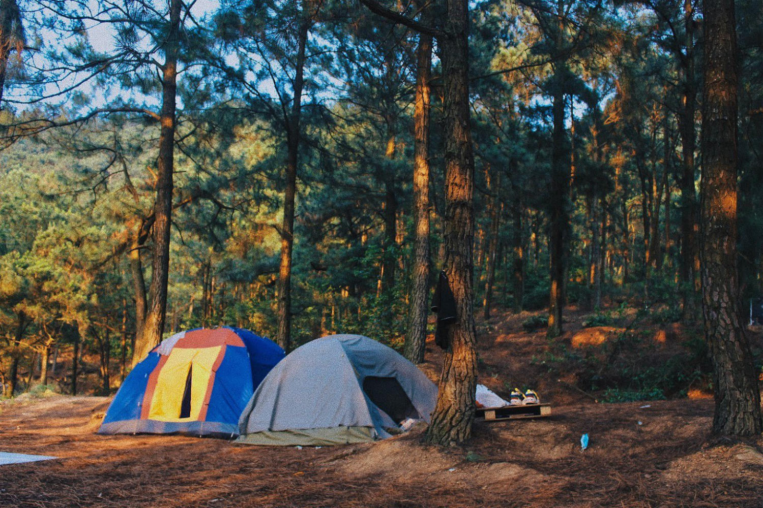 Revealing camping experiences outside of Hanoi that not everyone knows 3