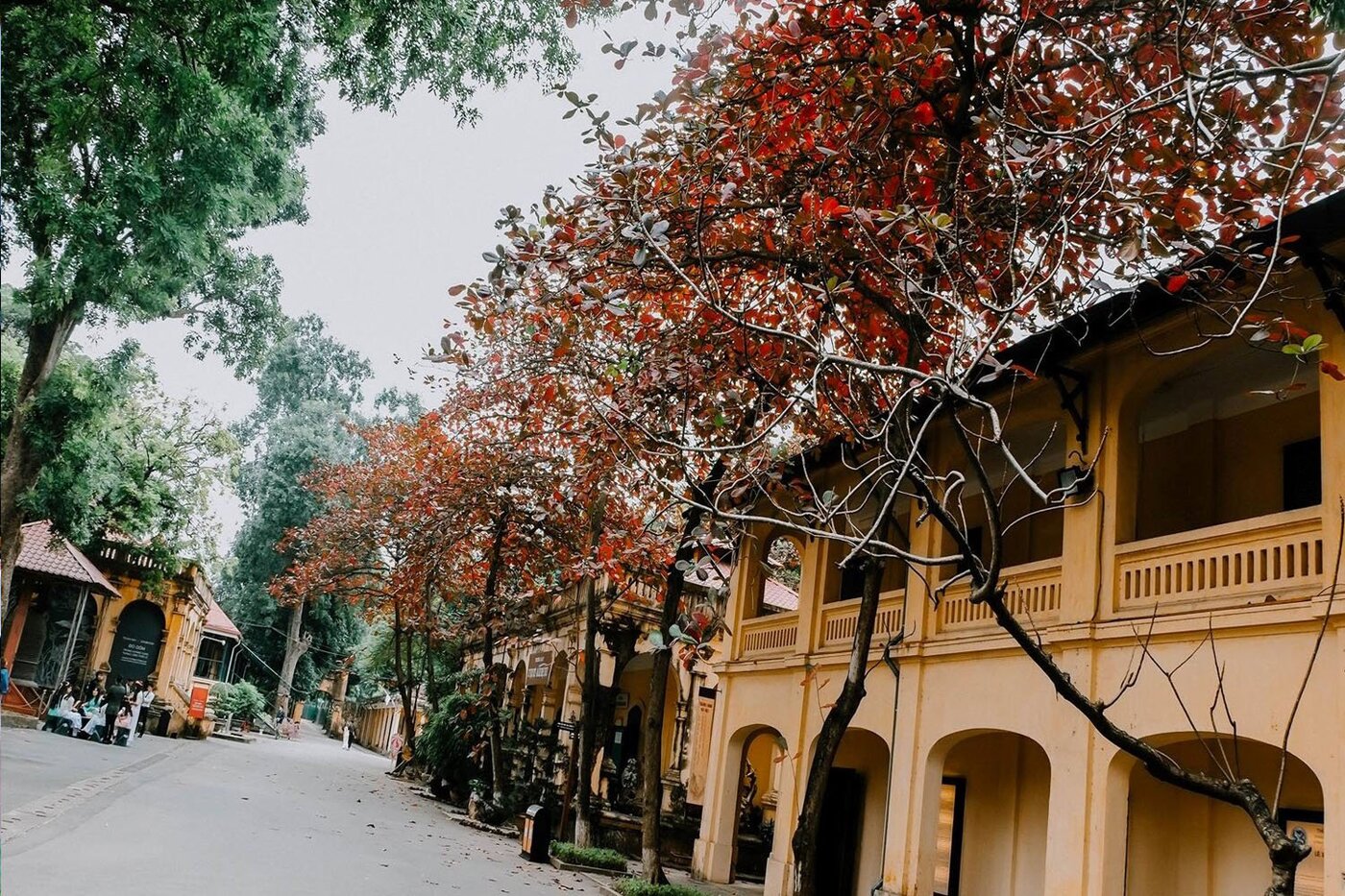 Revealing the 1-day itinerary in ancient and dreamy Hanoi 2