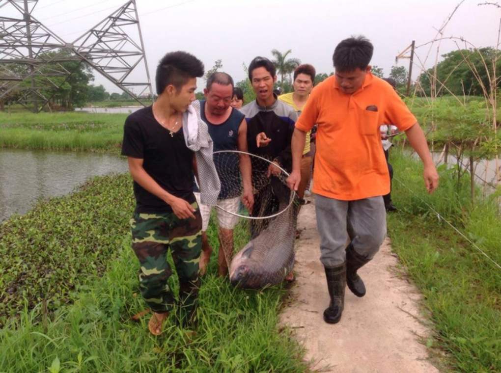 Gain experience in natural fishing in Hanoi with Vietnamtravelio 8